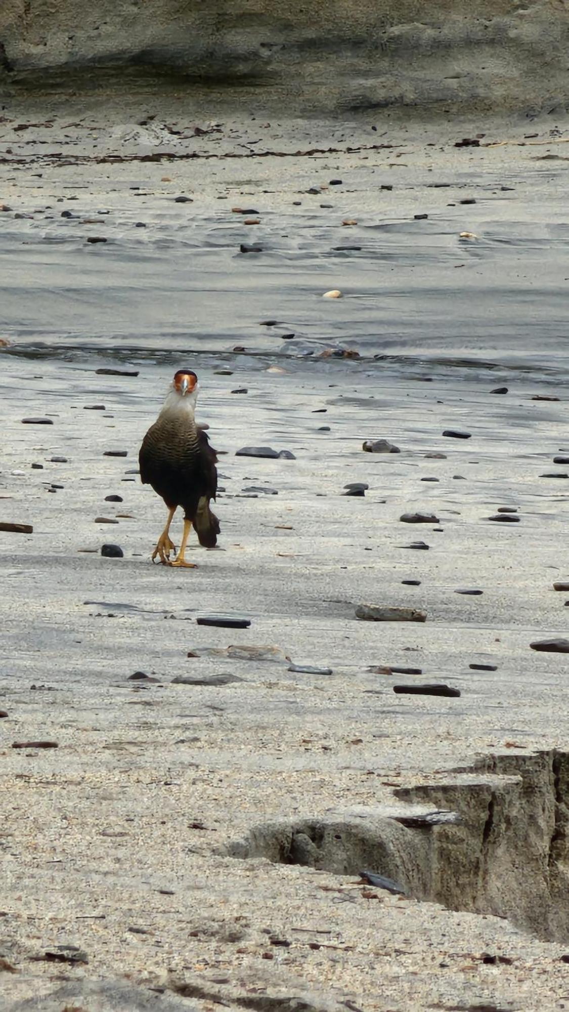 Playa Brava Teyumakke