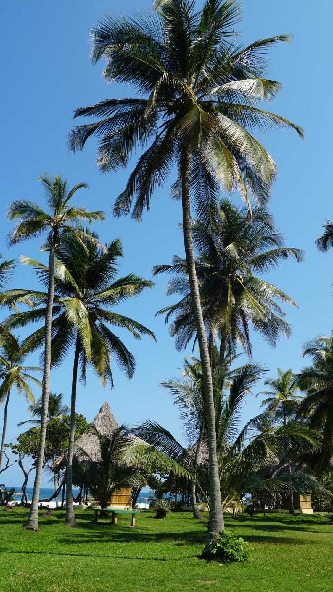 Playa Brava Teyumakke Calabazo (Magdalena)