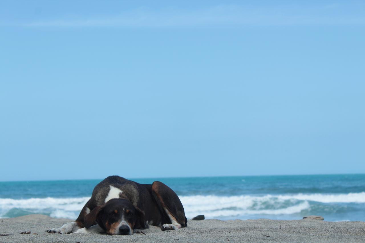 Playa Brava Teyumakke