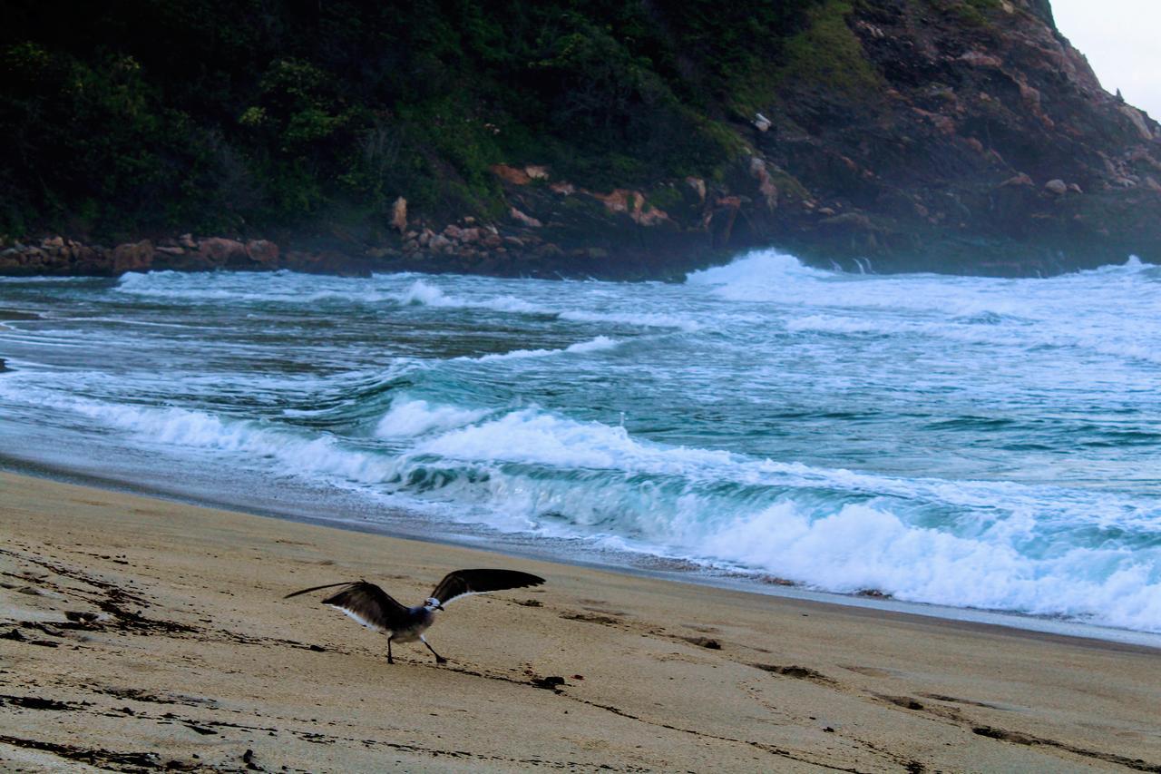 Playa Brava Teyumakke Hostal